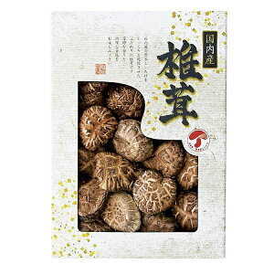 20%OFF|Yǂ񂱒ő / j j oYj Vzj  TԂ Au  @ j   Ԃ gift i ̂ bZ[WJ[h bsO  