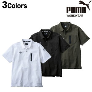 ƃEFA PUMA v[} ʔN ƕ ƒ |Vc d PW-3014N v[}ƃ|Vc ƒ Xgb`ƕ ƃ|Vc   Yƒ ƕ ƕv[} 