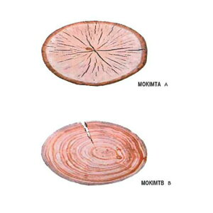 ݌Ɍ A ؖ X̐؂芔}bg