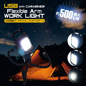 [NCg USB [d _ ~jJri  }Olbg    tbV tLVuA[ ő500lm hƑ΍ RpNg ʋ ʊw È   Lv AEghA g[h