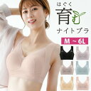 ＼500円OFFクーポンで1,980円／ナイトブラ ノンワイヤー 育乳 ブラジャー バスト ケア ストライプ 脇高 ルームウエア インナーウエア ノンワイヤーブラ ブラトップ 春夏秋冬 かわいい おすすめ
