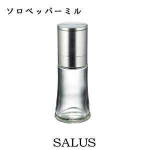 Vi salus \ybp[~ ϔMKX e ۑe   Vv XpCX  ꊴ ֗