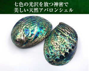 天然 アバロンシェル(アワビ貝) アバロ二シェル レインボーカラーアバロンシェル(アワビ貝) 天然貝 浄化皿として 浄化グッズ 天然石 パワーストーンの浄化に 天然石さざれ入れに インテリ