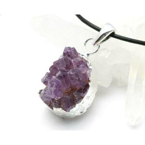 AWXg NX^[ y_g  2a y_g VR  p[Xg[ y_g ANZT[ 򉻂̋ _