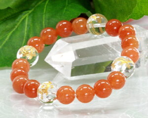  l_ uXbg NX^ bhAx` uXbg  鐝   l_b uXbg ^ VR p[Xg[ uXbg