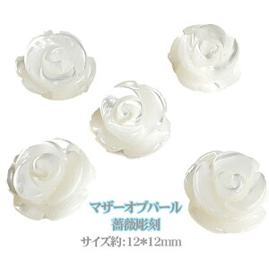 VR΃r[Y AAAA}U[Iup[ r[Y KNʒ  12mm p[Xg[o p[c }U[Iup[ ΂痧̒ p[c o ΂甄 o o`[t