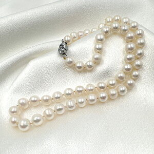 yX[p[Z[z Vv ^ lbNX|Wp[lbNX|^lbNX|a|v[g|Mtg|||lbNX 1A Wp[ 8mm 6 a