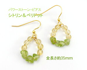 p[Xg[ sAX VR^[RCY Vg yhbg R[ sAX VR sAX  p[Xg[ fB[X ANZT[y[֑z