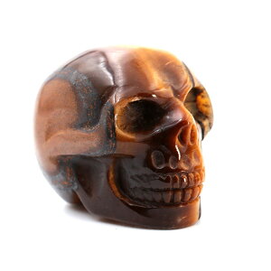 p[Xg[ ^CK[AC VR XJ [  hN u p[Xg[u VR΃XJ STCY