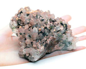 w}^Cg NH[c pCCg   bhw}^CgNH[c  zW{ p[Xg[ VR 