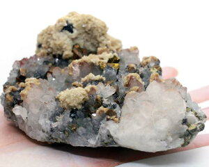 w}^Cg NH[c pCCg   bhw}^CgNH[c  zW{ p[Xg[ VR 