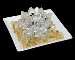 NX^KX @̉ zCg Vg Zbg 򉻃Zbg  u TLb`[ N NX^KX[^X փCeA