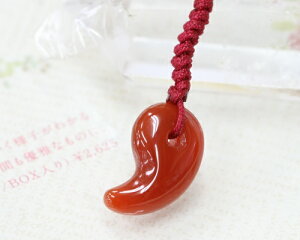 p[Xg[ Xgbv J[lA  Xgbv VR J[lA Xgbv gуXgbv 