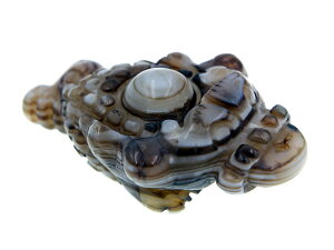 VR Or^ V ACAQ[g   JG O^ VR p[Xg[  N J^ObY ACe yz