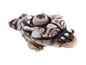 VR Or^ V ACAQ[g   JG O^ VR p[Xg[  N J^ObY ACe yz