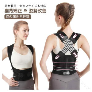 Lw j q pT|[^[ w؋xg   ėp Lwxg fB[X Y Lw xg Ci[ Ή 傫TCY