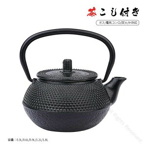 鉄瓶 南部鉄器 鉄瓶兼用急須 鋳物製 茶こし付き 茶道具用品 鉄やかん IH対応 直火使用可 高耐久鉄製 急須兼用鉄瓶