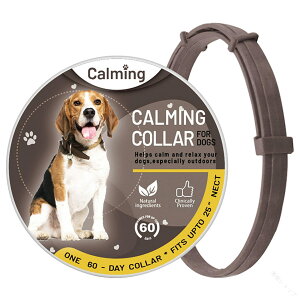 ̂߂̗ Î ̐S𗎂tFz sXgXy VR߉\h ʋC_炩pbh \tg ^^Ή 70cm 2{Zbg IW