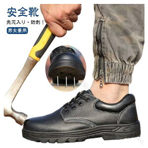 U[ jp Y vC h H Z[teB[V[Y jp Xj[J[  p Ȃ SC fB[X ƌC ɂ [Jbg |c ܐی B