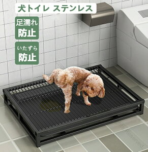 o pgC XeX| @\t ^pybggC 􂦂 o^ΉgC 54x37x9CM h~݌v p |ȒP g[jOpbhz