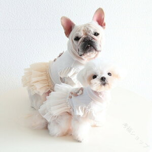 t`uhbOp}`bNhX  pX^C pu pO R[M[ uhbO K[tB[hfUC ybgߑlCi