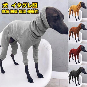 ybg  C^O z M R hL p[X t[X Lт  ~p y  ۉ Lk ₷ nClbN   C^AO[nEh ~js