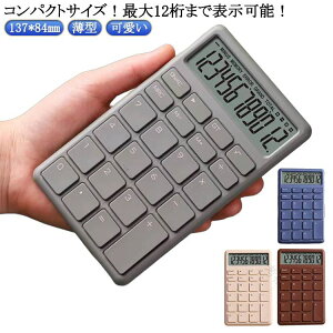 TCY JtF ^ Jt vZ@ Ɩ ~j NX}X 12 킢 ^ dqvZ@ rWlX ItBX RpNg  d d p HX e 12 T