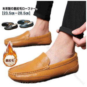 Xb| {A JV N t@[ vC Y H~ C V[Y {v [t@[  h ۉ g y y h ₷ ɂȂ Ȃ jC JWA Xj[J[ 