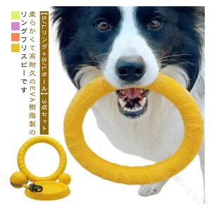 EVA�����g�p ���^���p�y�b�g��������3�_�Z�b�g �����OS/L�{�{�[�� �t���X�r�[�{�[�� ���� �t���X�r�[�����O �_�炩�� ���������� ���ނ������� �����邨������ ���^�� ��^���p�ߋ� �^���s��