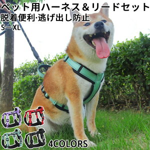  lRn[lX Lp ^ ^ ^  EȂbN  pnht ybgU⏕ ́[˂ qL Lp L[h lRlR Ck ` ʋC 