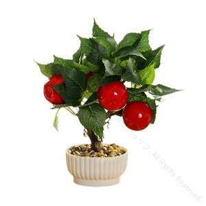 tFCN~ t[c   LJ UN  t[ ~jA CeA փrOEFfBOBeɍœKȐlHʎ 126