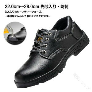 U[ƌC vSC fB[X Y jp ȂC ׂɂZteB[V[Y ܐK[ht ƌC