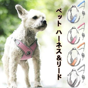 pn[lX [hZbg ^ ^ V  ybgn[lX ˍޕt ₷ Ȃ ȒPE y K ʋC bV NbVt \ Sy U o