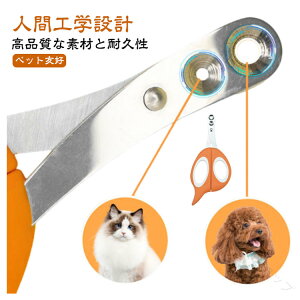 q L ܐ؂ ybgpܐ؂ Lܐ؂ ߐ؂ ybgpܐ؂ lRܐ؂ Lpܐ؂ d ی XgXȂ ybgp߂ L ₷ ^p ȒP ߂ lCPA S