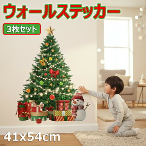 3Zbg ͂TCYNX}XǏ ǃV[ XebJ[ ǎ 傫C ֑pT^c[Cg{[ACO傫ȃc[NX