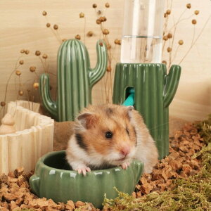 p a  ybgH T{e^  Hׂ₷fUCŉqI @\ ybgpi ɍœKȉa T{e`[tłȓ퐻e