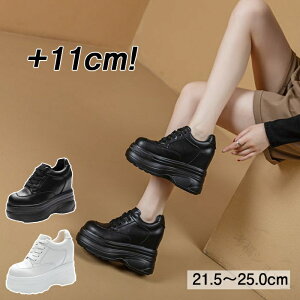  Xj[J[ 10cm gup Xb| fB[X Cq[Xj[J[ EH[LO q[Abv C V[Y _CGbgXj[J[ PUU[ JWA  ₷ NbV n