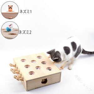 L  얞CɂȂLp lY~ mߋ L炵 ybgpi L̂ Lpi O@ ؐ ^s XgXPA a o[Xf[ v[g ؔ 