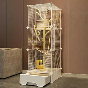 XP[W 3i 37×37×125cm ^ P[W ogCt tNK V}X fO[ tFbgΉ ^ԍ\ňS݌v