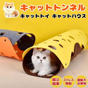 L gl  Lbggl tFg ܂肽ݎ Lp Lpi ybgObY IV LV XgXU ^s΍ Lp Lbgg[jOpi LVт