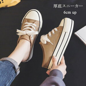 Xj[J[ ƂȂ fB[X 6cm y  Xb| T_Xj[J[ Ȃ Ȃ   ₷ ɂȂ wlC LoX ؍ r gAbv 