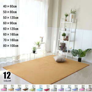 ���O �J�[�y�b�g ���O�}�b�g �􂦂� 40×60 50×80 50×120 60×90 60×120 60×160 70×160 80×100 80×120 �I�[���V�[�Y���Ή� ������� �H �~ �k���� �O�~ �R�� �h�_�j ����~�ߕt �t�����l���f�� �z�b�g�J�[