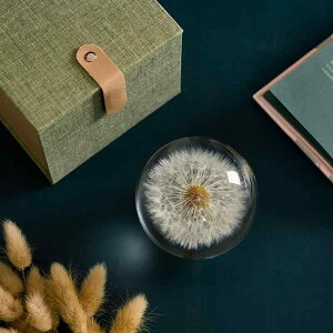 CeAu ^|| q}  NX^{[IuWF  I  킢 rO֑fXN aNX}Xo^Cf[LO̓hV