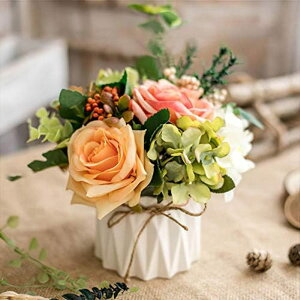  AA ͂Ȃ o t[ S ^~ x_[ u fXNgbvp~ V~[V ϗtA Ƃ̑ [Ybh ̓v[g