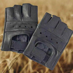  Y {v rv wȂ n[ttBK[ ϖ ʋC ~ Ăh~ TCNO X|[c ^] hCu JWA ėp ubN _[NuE 2Zbg ϋv