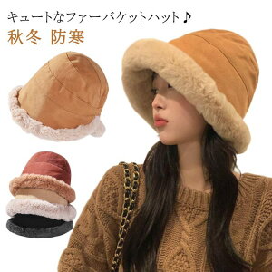 H~ ӂӂ  ΍LXq {A ~ Xq h RR t@bV {ALbv  傫TCY {[ {Anbg ܂肽  n fB[X  ؍