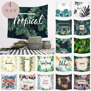 ^yXg[knCAǊ|CeA傫TCY蕨ɍœK4TCYIׂJtȃfUCŕ؂₩ɉo