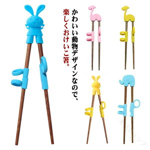 q  g[jO͂ ؐ   K K qǂ  P[Xt g[jO   LbY  w c LbY j̎q qǂ 킢 ̎q