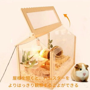 _[`L P[W P[W ʋCQŉ ^т₷gAN 傫TCY X^[pP[W nX^[P[W