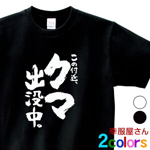 u̕t߁AN}ovBv tVc ka500-41 FQ Fov ӊN qO} cLmO} F  jp I[V[Y  TVc  a Mtg v[g 100 zCg/